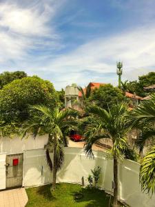 可倫坡的住宿－Heritage Villa colombo7，一座两棵棕榈树的建筑