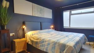 a blue bedroom with a bed and a window at Good Vibes in Christchurch