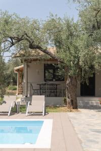a house with a tree and a swimming pool at LUXURY VILLAS ELENI STEFI in Limenas