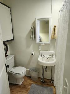 a white bathroom with a toilet and a sink at The Landerholm Bed and Breakfast in Wisconsin Rapids