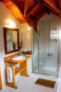 un baño con lavabo y ducha en SIETEFLORES Lodge, en San Martín de los Andes