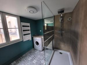 ein Bad mit einer Dusche und einer Waschmaschine in der Unterkunft Duplex pour 4 pers, hypercentre de Rouen in Rouen