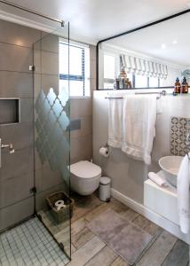 a bathroom with a shower and a toilet and a sink at Serendipity in Hermanus +11 photos
