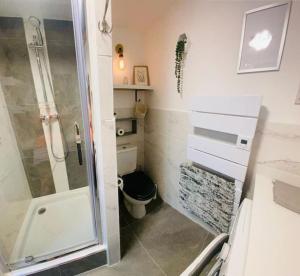 Koupelna v ubytování Géné Fiz, Location Passy + 30 fotografií