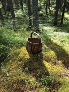 Giardino di Blåsbocka, lägenhet i hus 3 rok