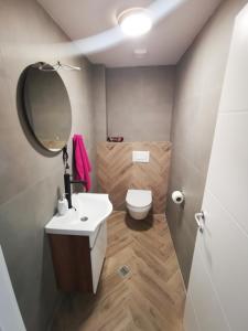 een badkamer met een toilet, een wastafel en een spiegel bij Riviera Apartments in Niš