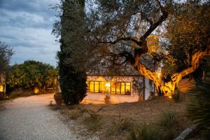 a house with a large tree in front of it at Casale delle Lavande in Citta' Sant'Angelo