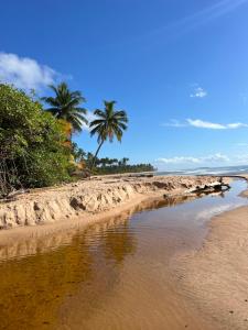 a beach with two palm trees and the ocean at Pequena Lua Flats - Península de Maraú in Barra Grande