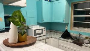 una cocina con armarios azules y una planta en un mostrador en Miami Vibes "Hostel-Like" Shared Room, en North Miami