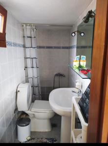 a small bathroom with a toilet and a sink at Chris & Mary Comfort Rooms (country house) in Nea Iraklia