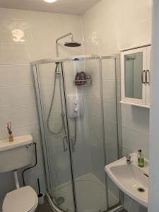 a bathroom with a shower and a toilet and a sink at Beautiful one bedroom Apartment In Galway City in Galway
