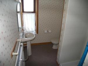a bathroom with a sink and a toilet at Ernambrie Cottage in Castle Douglas