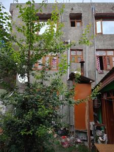 an old building with a tree in front of it at Queen Palace guest house in Srinagar +27 photos