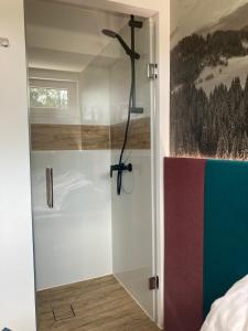 een douche met een glazen deur in de badkamer bij Sara Apartament z sauną in Ustroń