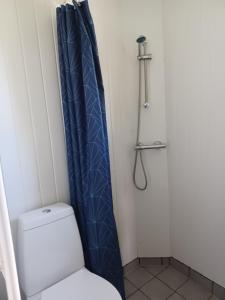 uma casa de banho com uma cortina de chuveiro azul ao lado de um WC em Annexet em Hjørring
