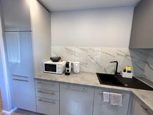 uma cozinha com um lavatório e um micro-ondas no balcão em Parkside Escape: Stylish 1-BR em Riga