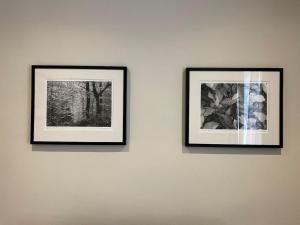 two framed photographs hanging on a wall at Luxury London English Charm in London