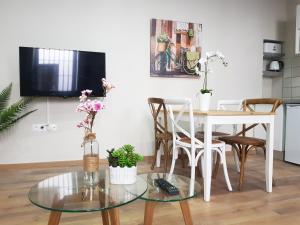 Televízia a/alebo spoločenská miestnosť v ubytovaní Apartamentos Alhambra Granada 3000