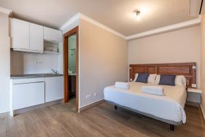 Kuchyňa alebo kuchynka v ubytovaní Apartamentos Alhambra Granada 3000