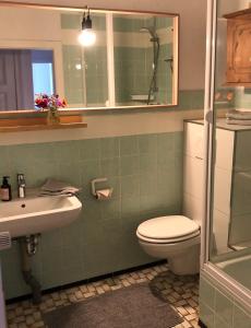 a bathroom with a toilet and a sink at Ferienwohnung Elbsegler in Bleckede