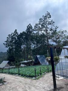 Zahrada ubytování The Backyard Glamping Cameron Highlands