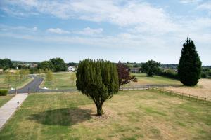 een boom in het midden van een grasveld bij Great Blunts House - Stock Brook Manor Golf Club in Stock +6 foto's