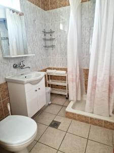 ein Badezimmer mit Toilette, Waschbecken und Dusche in der Unterkunft Villa Dusper in Trogir + 37 Fotos