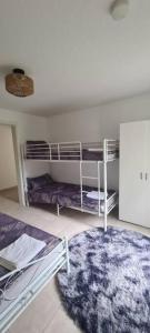 1 dormitorio con 2 literas y alfombra en Beauty Apartment near Messe City and Airport with Garden, en Colonia