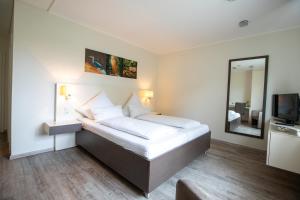 a bedroom with a bed with a mirror and a television at Hotel am Tiergarten in Raesfeld