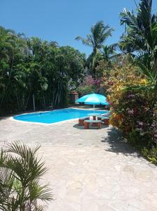 una piscina con sombrilla azul, sillas y árboles en Casa Monika, en Sosúa