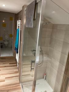 a walk in shower in a bathroom with a toilet at le Châtelet in La Chaux Neuve