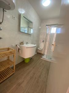 een badkamer met een wastafel, een douche en een toilet bij Apartments Iva in Lopar