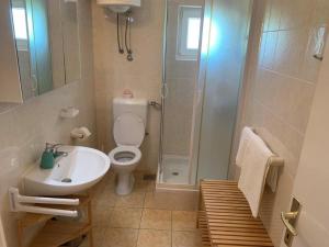een badkamer met een douche, een toilet en een wastafel bij Apartments Iva in Lopar