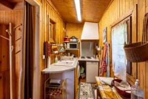 cocina pequeña con fregadero y fogones en Chalet Sérénité - Tranquillité et Très Belle Vue, en Puyvalador