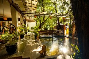 a room with a pool of water with plants at Mad Monkey Hostel Phnom Penh in Phnom Penh
