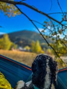 Gallery image of Pension Harrachov in Harrachov