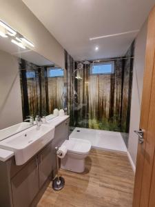 a bathroom with a toilet and a sink and a shower at Chestnut Lodge with Hot Tub in Cupar