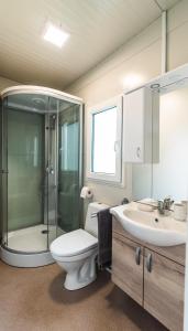 La salle de bains est pourvue de toilettes, d'une douche et d'un lavabo. dans l'établissement Micro-Cabin by the Kolpa River Metlika, à Gradac