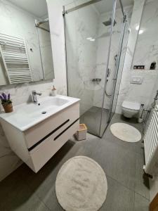 een badkamer met een wastafel, een douche en een toilet bij River Walk Apartman in Sarajevo