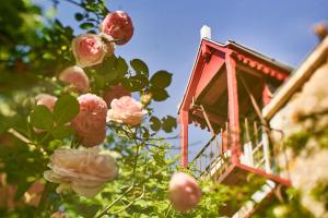 a red bird house in a tree with pink roses at Le Couvent in LʼHermenault