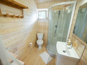 a bathroom with a toilet and a shower and a sink at Kolorowe Zacisze 
