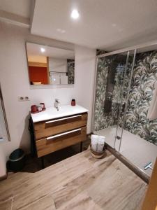 a bathroom with a sink and a shower at Charming Renovated House in Saint-Jean-de-Vaux, France in Saint-Jean-de-Vaux +26 photos