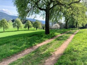 een onverharde weg in een veld met bomen bij Ferienwohnung Panorama - Suite in Kappelrodeck