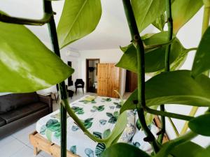 um quarto com uma cama e uma planta em All Nations Holiday Home em Għajnsielem
