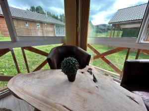 Zahrada ubytování Camping Le Miroir