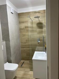 uma casa de banho com um WC, um lavatório e um chuveiro em CoastAL em Shëngjin