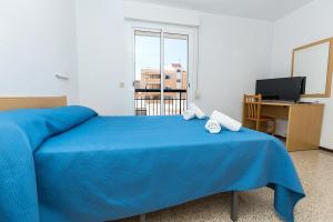 TV a/nebo společenská místnost v ubytování Hostal El Mercat