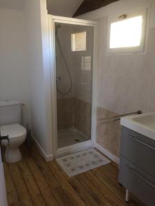 une salle de bain avec une douche, des toilettes et un lavabo dans l'établissement Château Laborde Caudalie, à Saint-Médard-de-Guizières