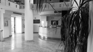 un vestíbulo con un mostrador y una maceta en Hotel Villa Carolina, en Isquia