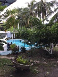 uma piscina num quintal com palmeiras em Siboney Villa Juana cabaña em Honda